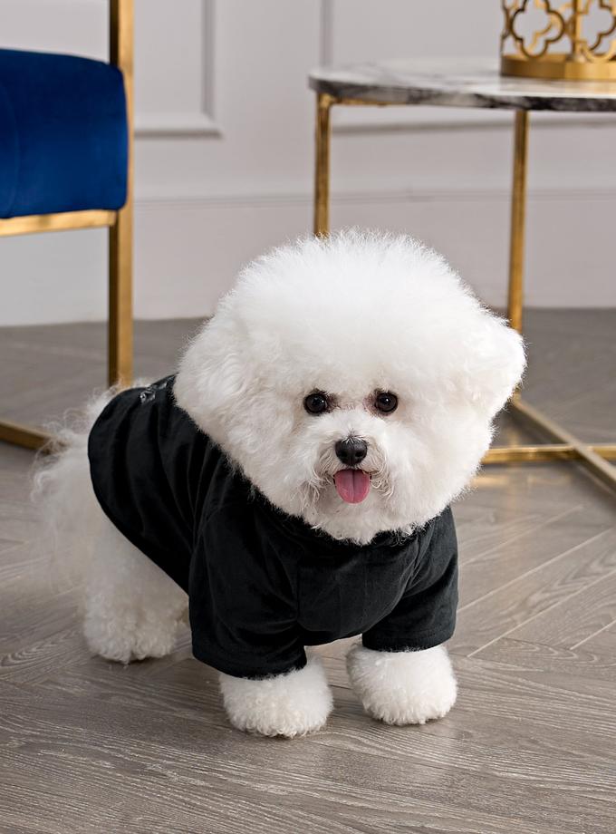 Bling Velour Pet Hoodie New Arrival