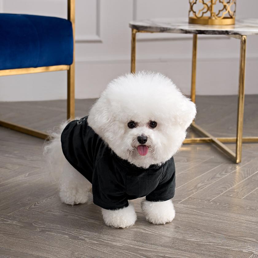 Bling Velour Pet Hoodie New Arrival