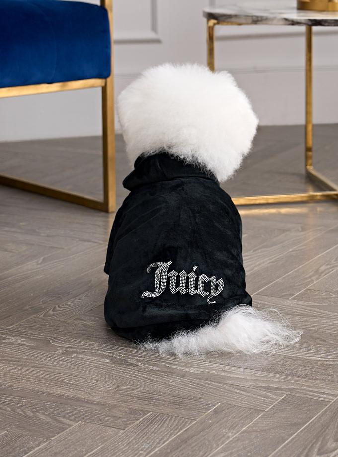 Bling Velour Pet Hoodie New Arrival