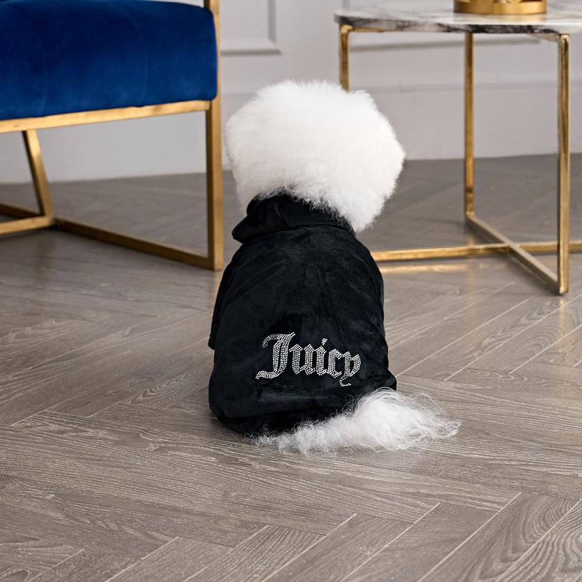 Bling Velour Pet Hoodie New Arrival