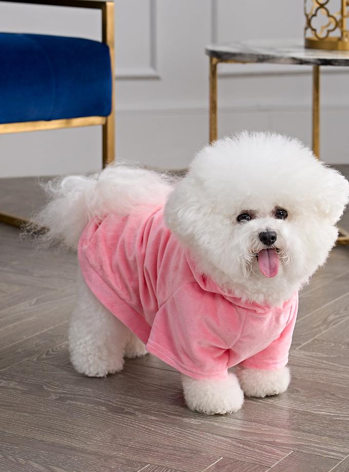 Bling Velour Pet Hoodie Same Day Delivery