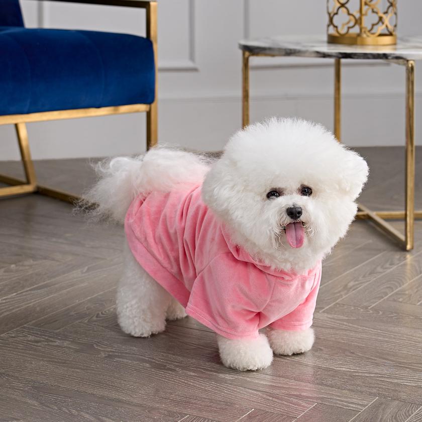 Bling Velour Pet Hoodie Same Day Delivery