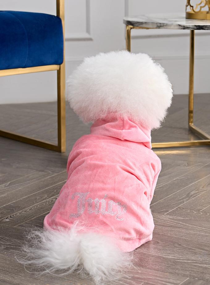 Bling Velour Pet Hoodie Same Day Delivery