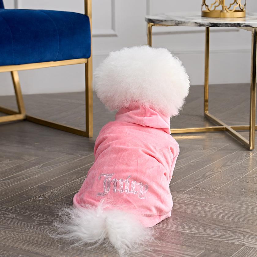 Bling Velour Pet Hoodie Same Day Delivery