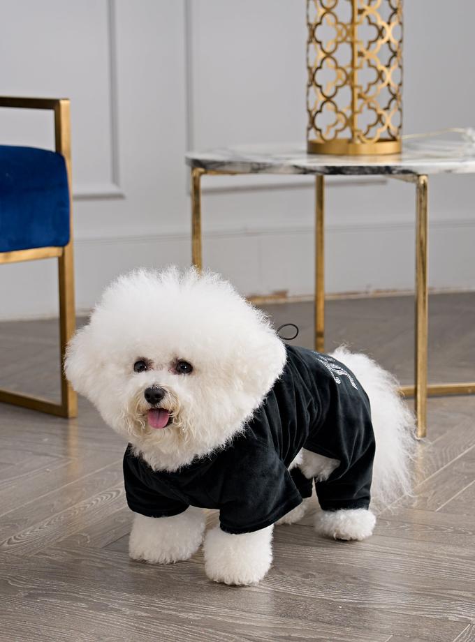 Bling Velour Pet Tracksuit New Arrival