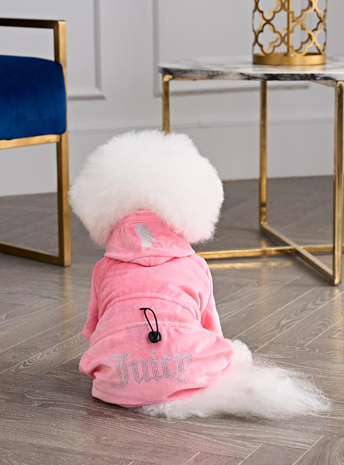 Bling Velour Pet Tracksuit New Arrival