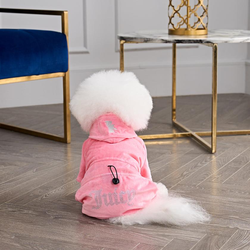 Bling Velour Pet Tracksuit New Arrival