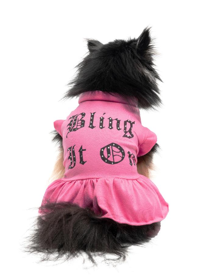 Cheer Pet Dress On Sale