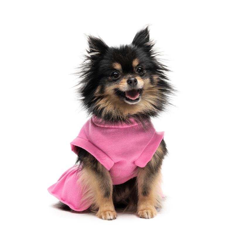 Cheer Pet Dress On Sale