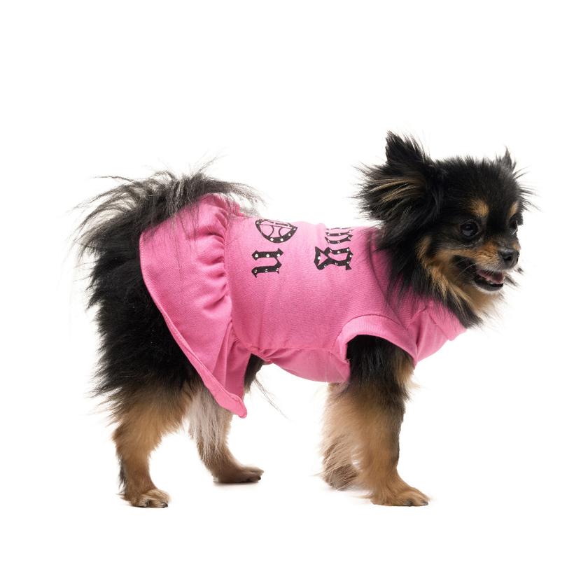 Cheer Pet Dress On Sale