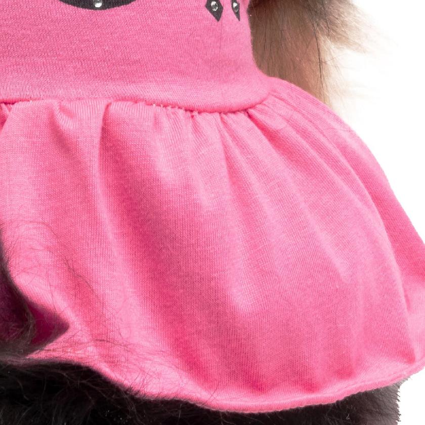 Cheer Pet Dress On Sale