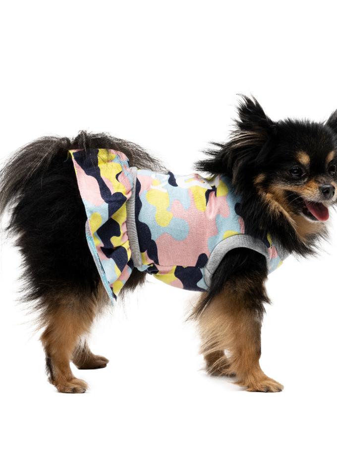 Cheer Pet Dress Same Day Delivery