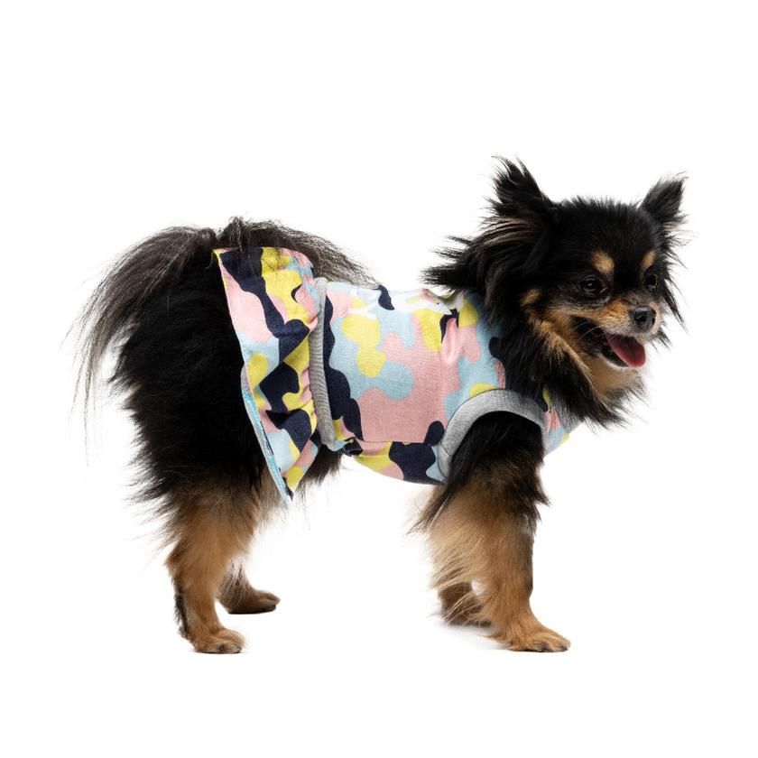 Cheer Pet Dress Same Day Delivery