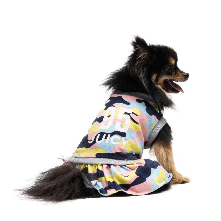 Cheer Pet Dress Same Day Delivery