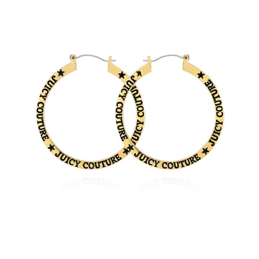 Flat Hoop Earrings Best Buy