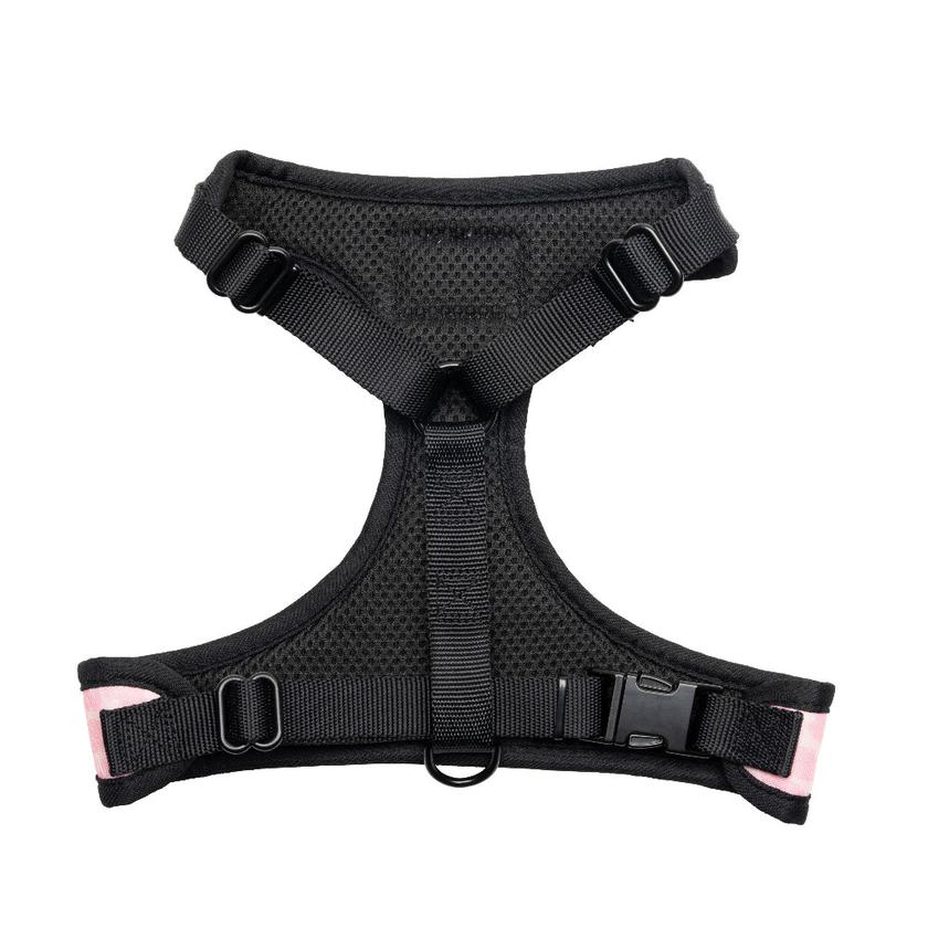 Harness & Leash Set Free shipping