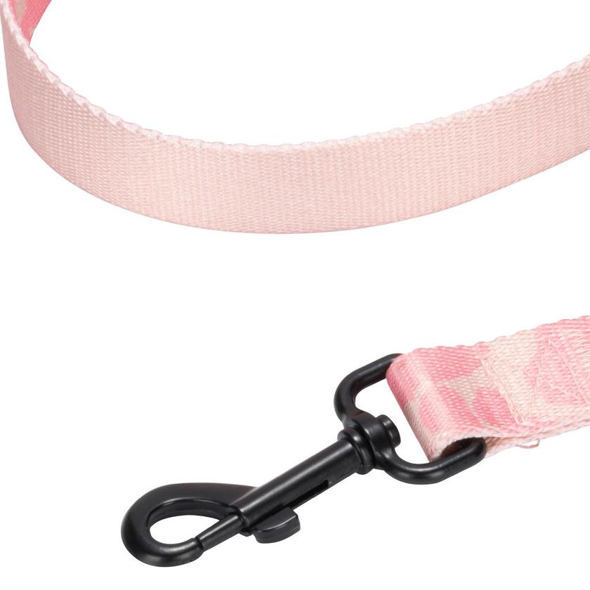 Harness & Leash Set Free shipping