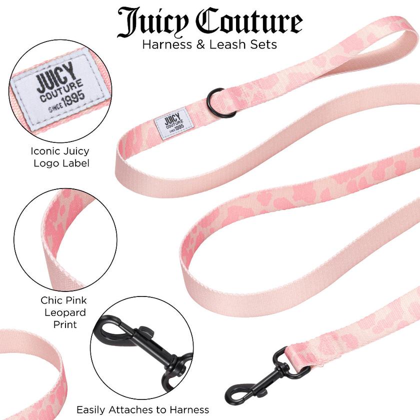 Harness & Leash Set Free shipping