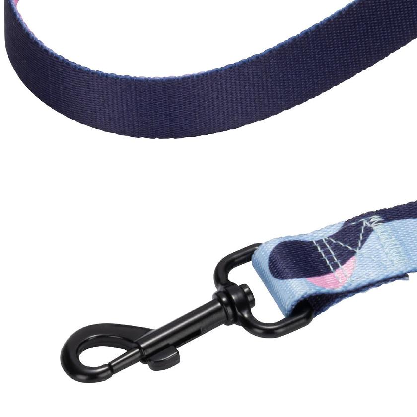 Harness & Leash Set High Quality