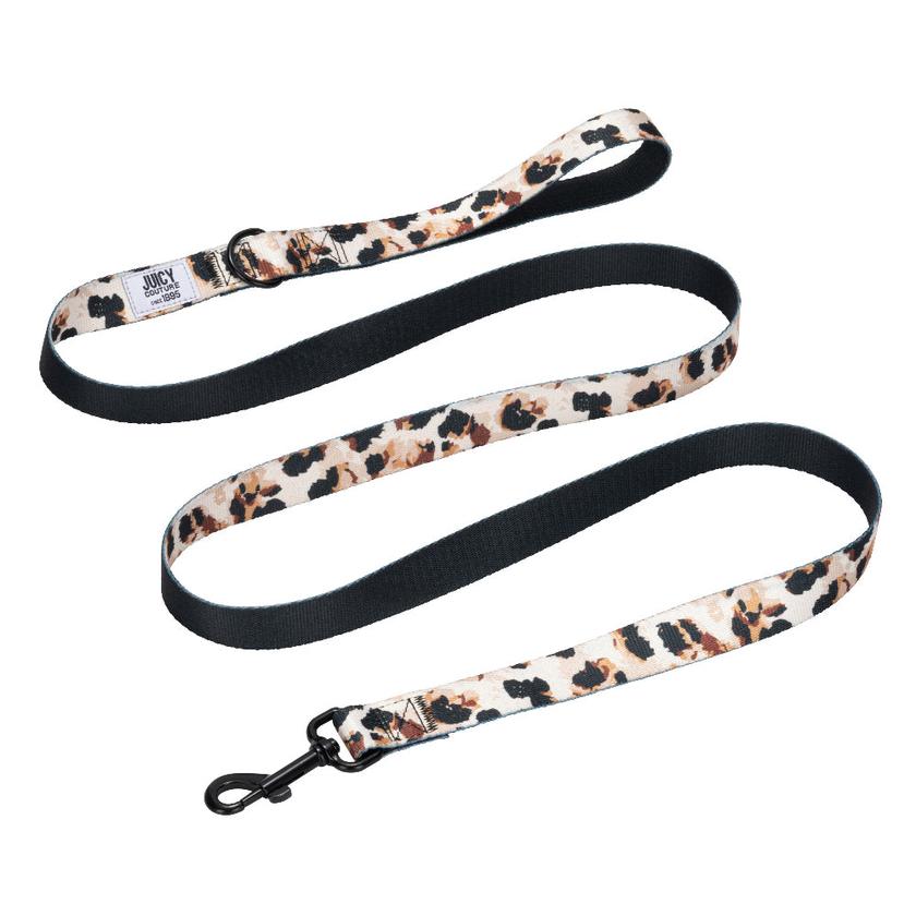 Harness & Leash Set On Sale