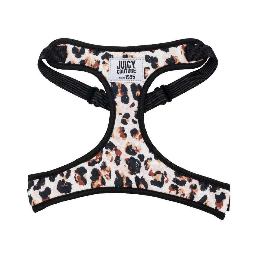 Harness & Leash Set On Sale