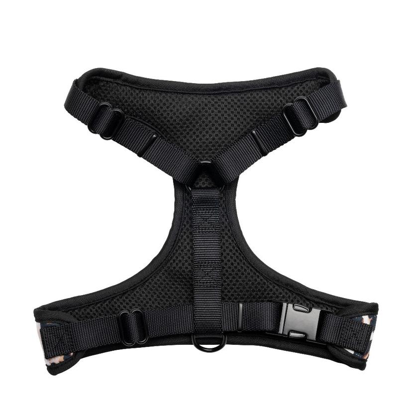 Harness & Leash Set On Sale