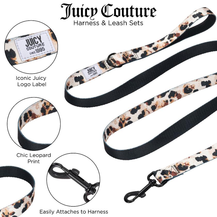 Harness & Leash Set On Sale