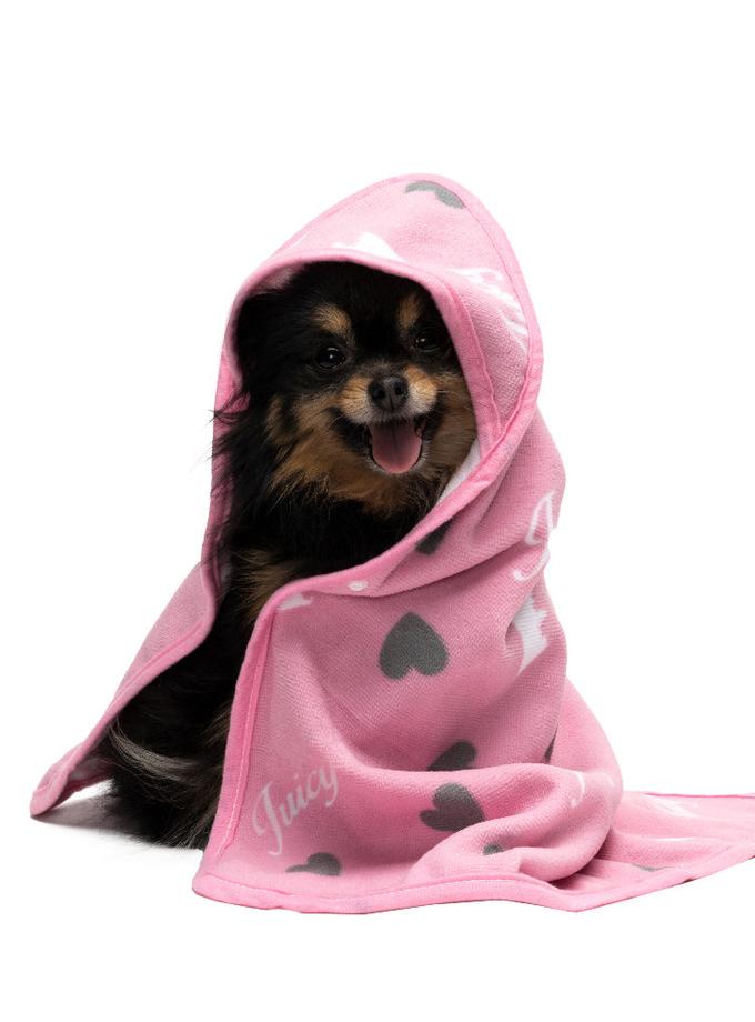 Hooded Pet Towel Same Day Delivery