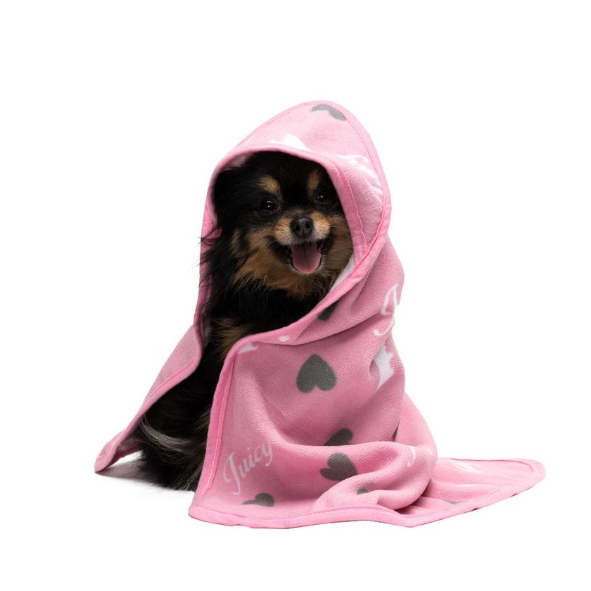 Hooded Pet Towel Same Day Delivery