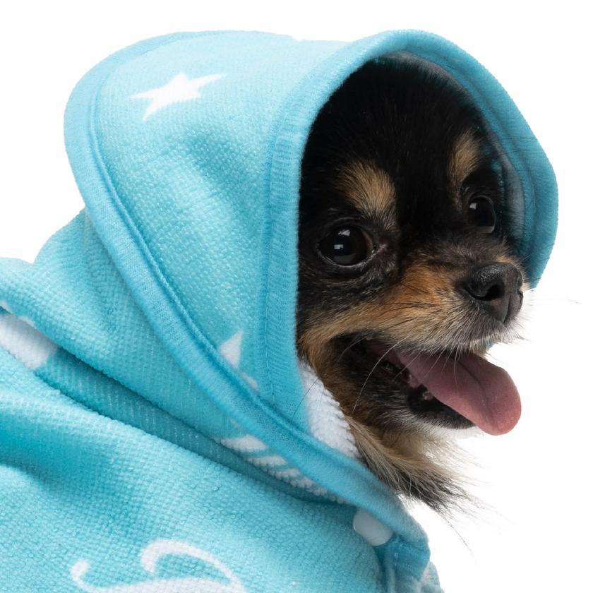 Hooded Pet Towel Same Day Delivery