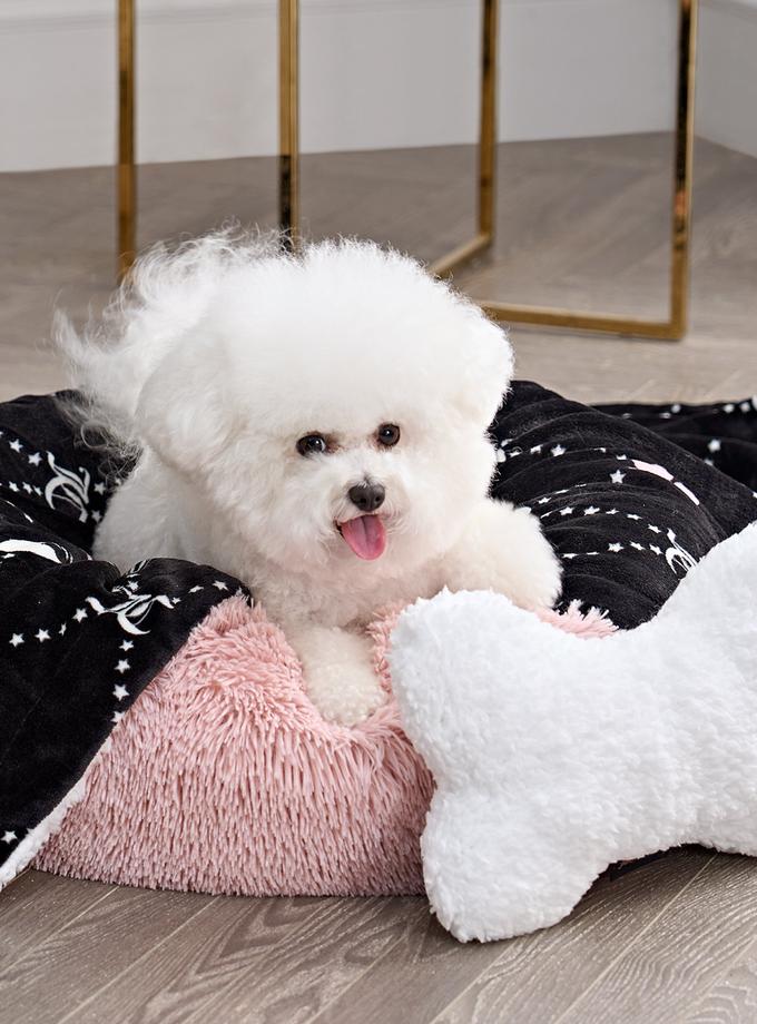 Pet Blanket & Pillow Set New Arrival