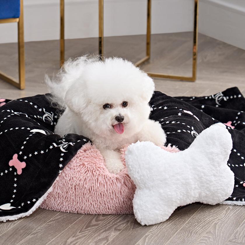 Pet Blanket & Pillow Set New Arrival