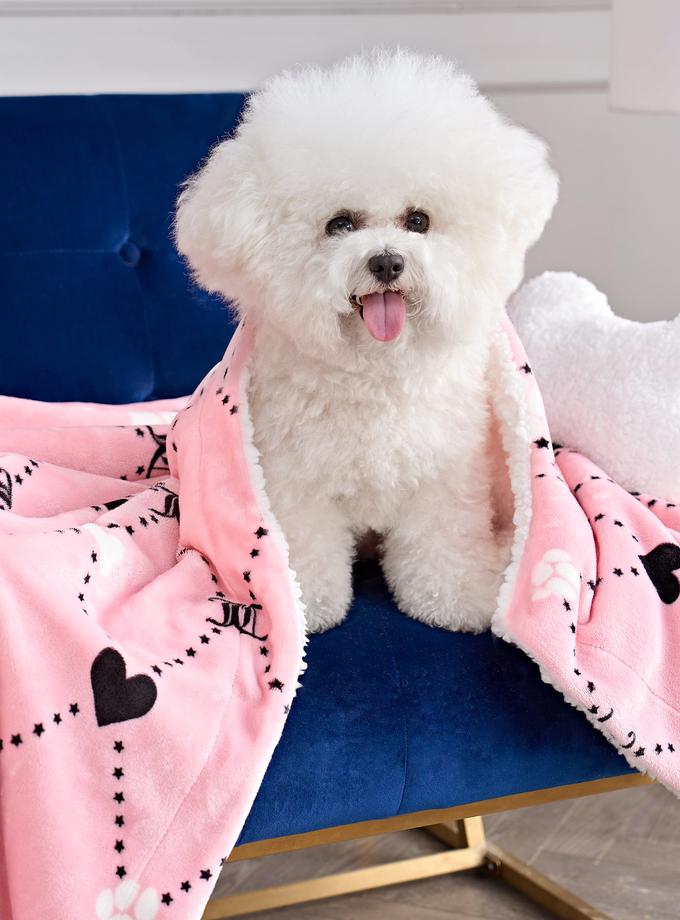 Pet Blanket & Pillow Set On Sale