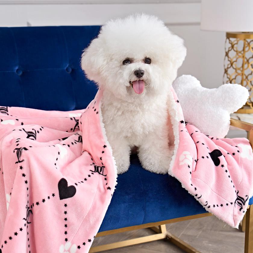 Pet Blanket & Pillow Set On Sale