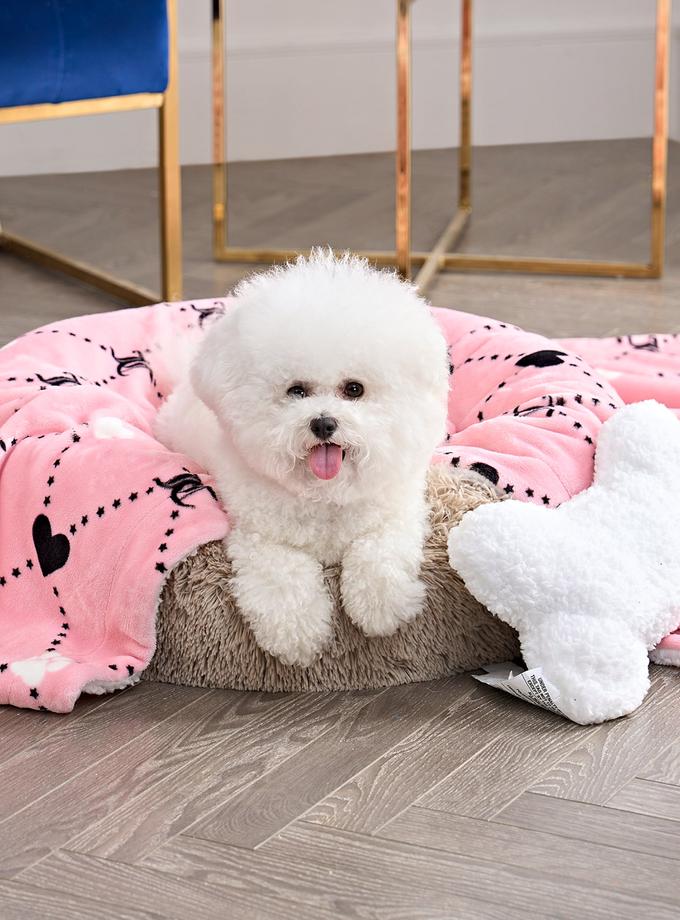 Pet Blanket & Pillow Set On Sale