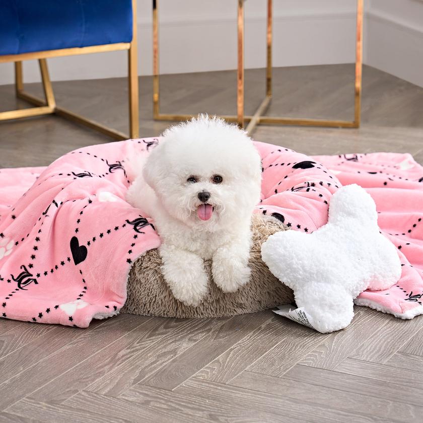 Pet Blanket & Pillow Set On Sale