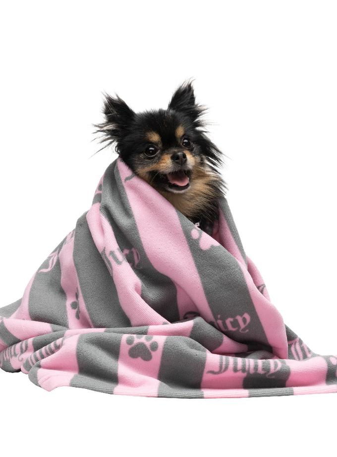 Pet Towel Best Price