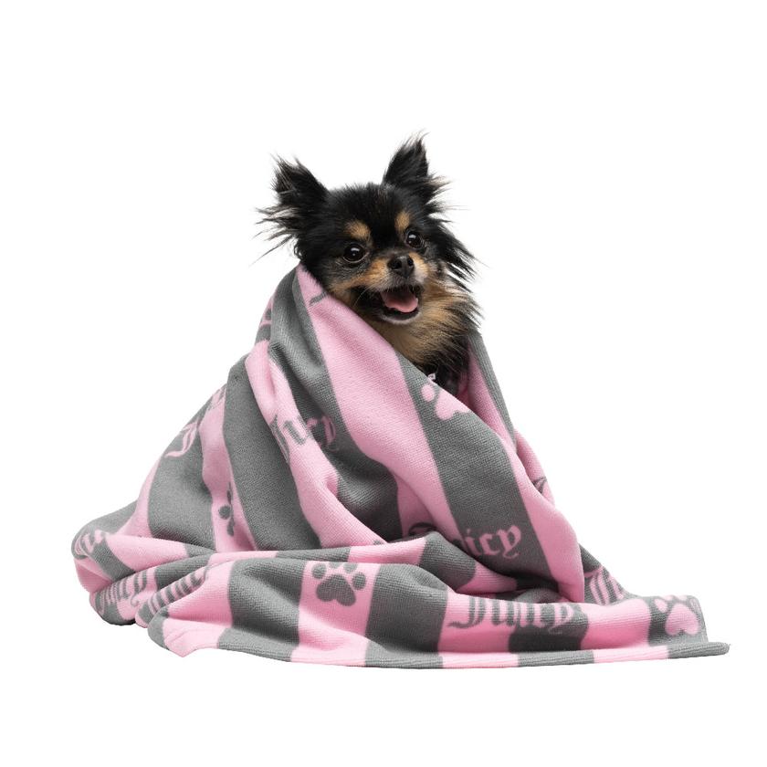 Pet Towel Best Price