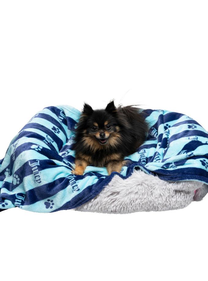 Plush Pet Blanket Best Buy