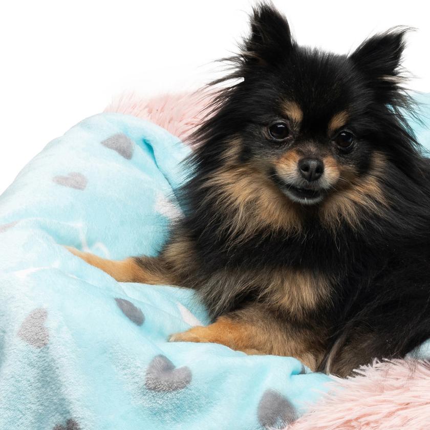 Plush Pet Blanket High Quality