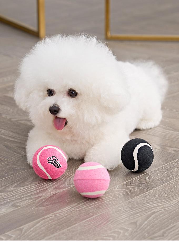 Tennis Balls For Pets Best Buy