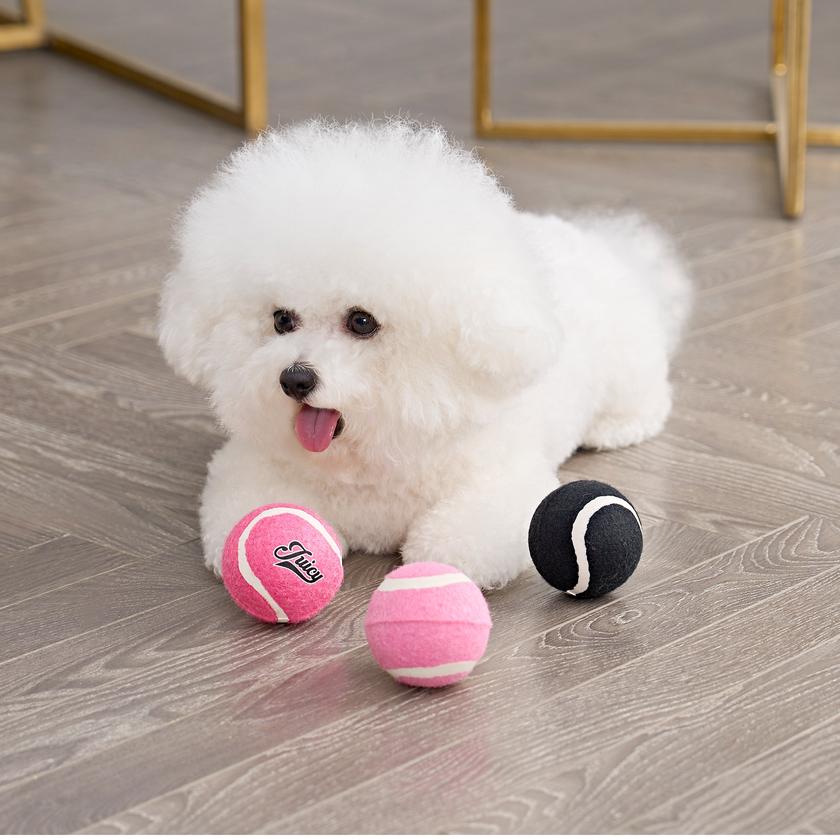 Tennis Balls For Pets Best Buy