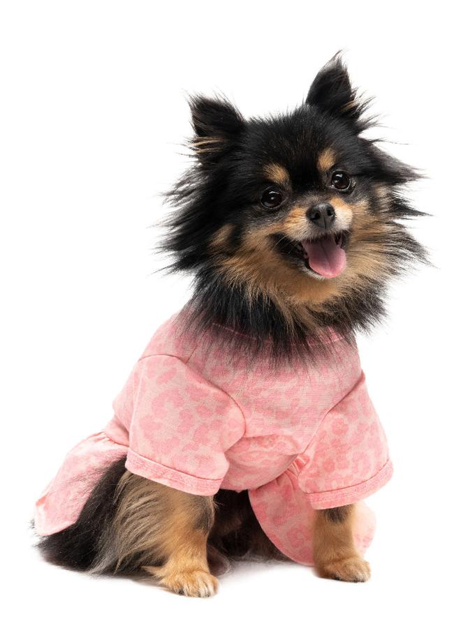 Tulle Pet Dress Best Price