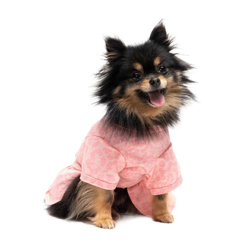 Tulle Pet Dress Best Price