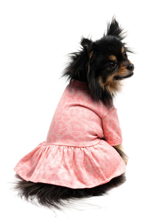 Tulle Pet Dress Best Price