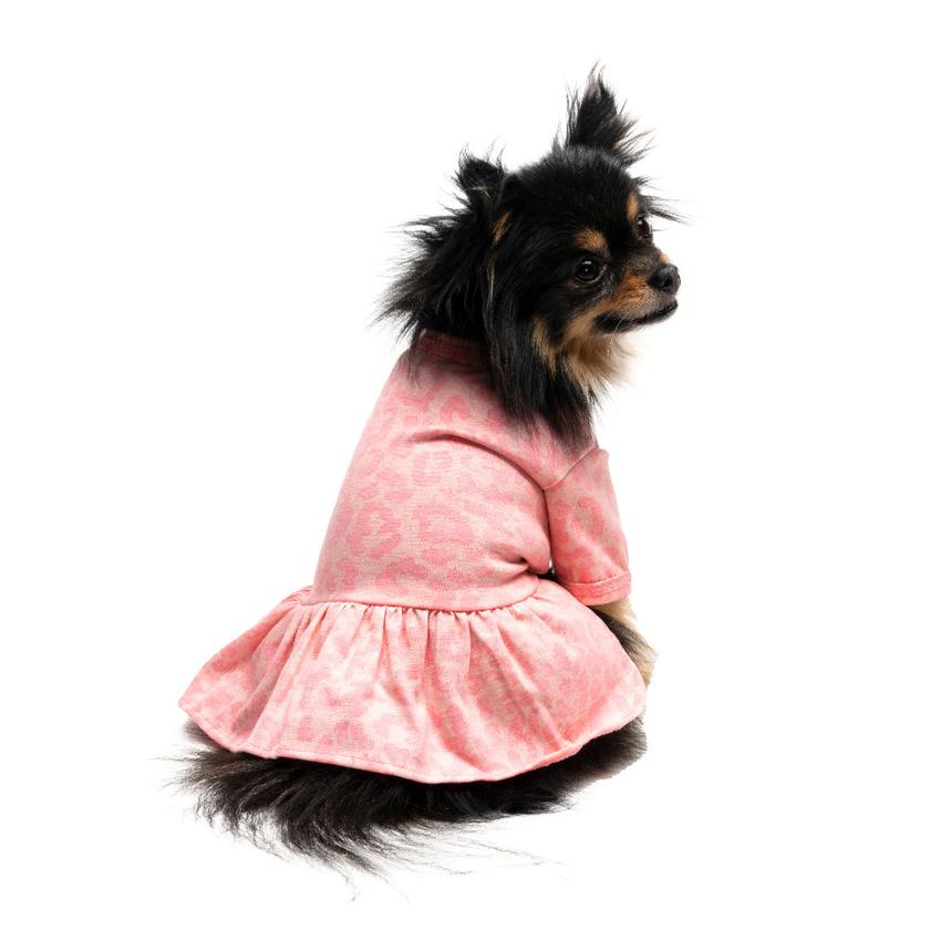 Tulle Pet Dress Best Price