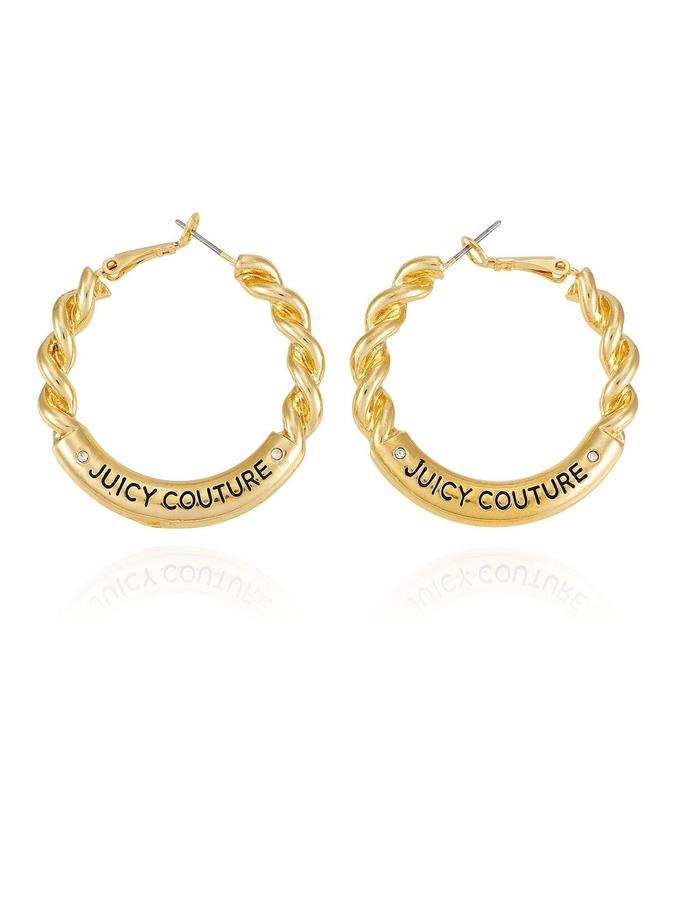 Twisted Hoop Earrings Same Day Delivery