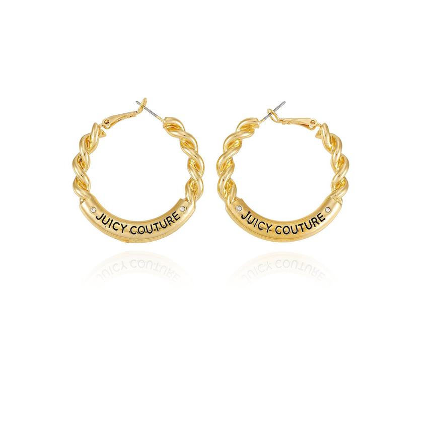 Twisted Hoop Earrings Same Day Delivery