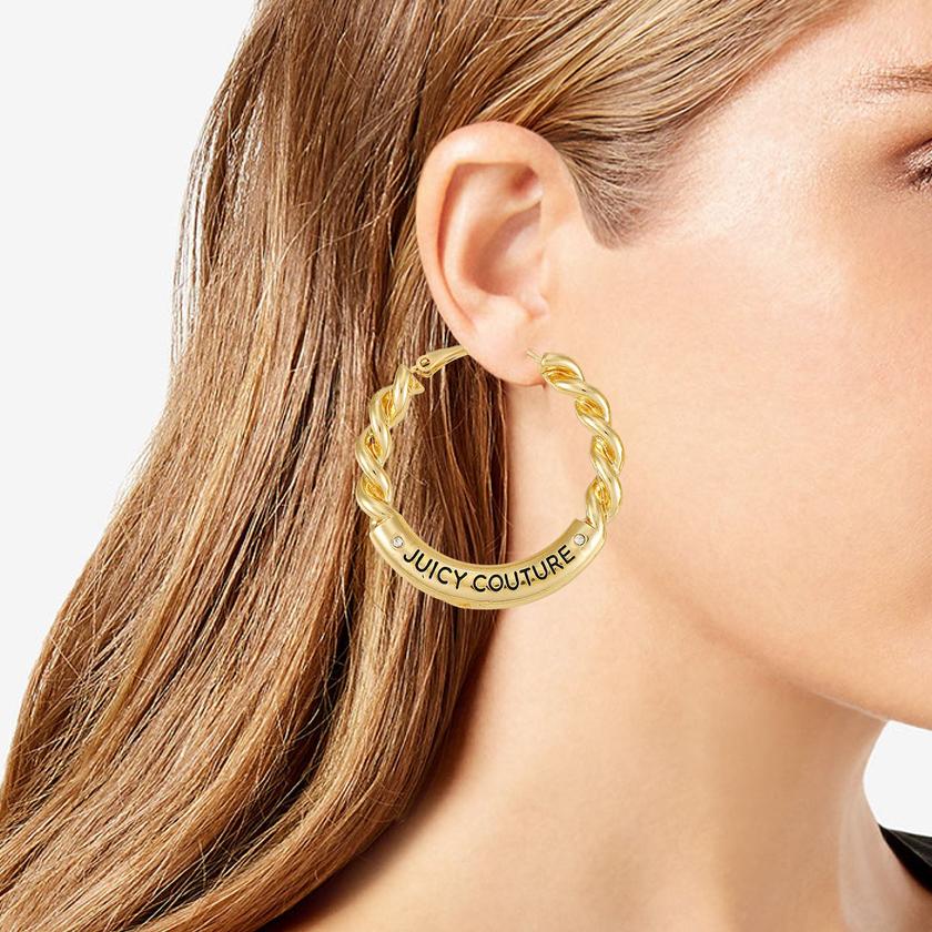 Twisted Hoop Earrings Same Day Delivery