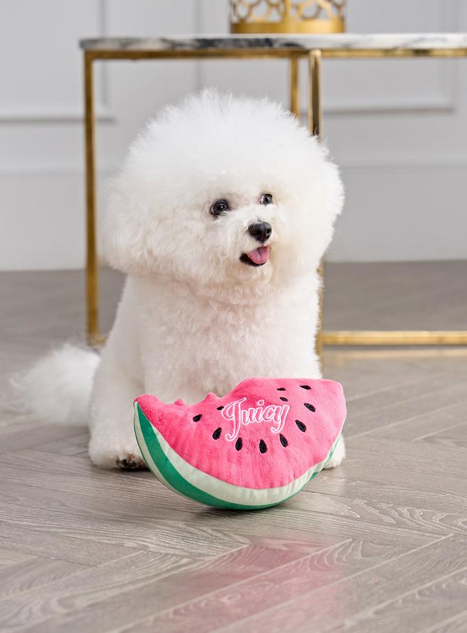 Watermelon Squeaky Pet Toy High Quality